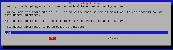 Hotplugged interfaces